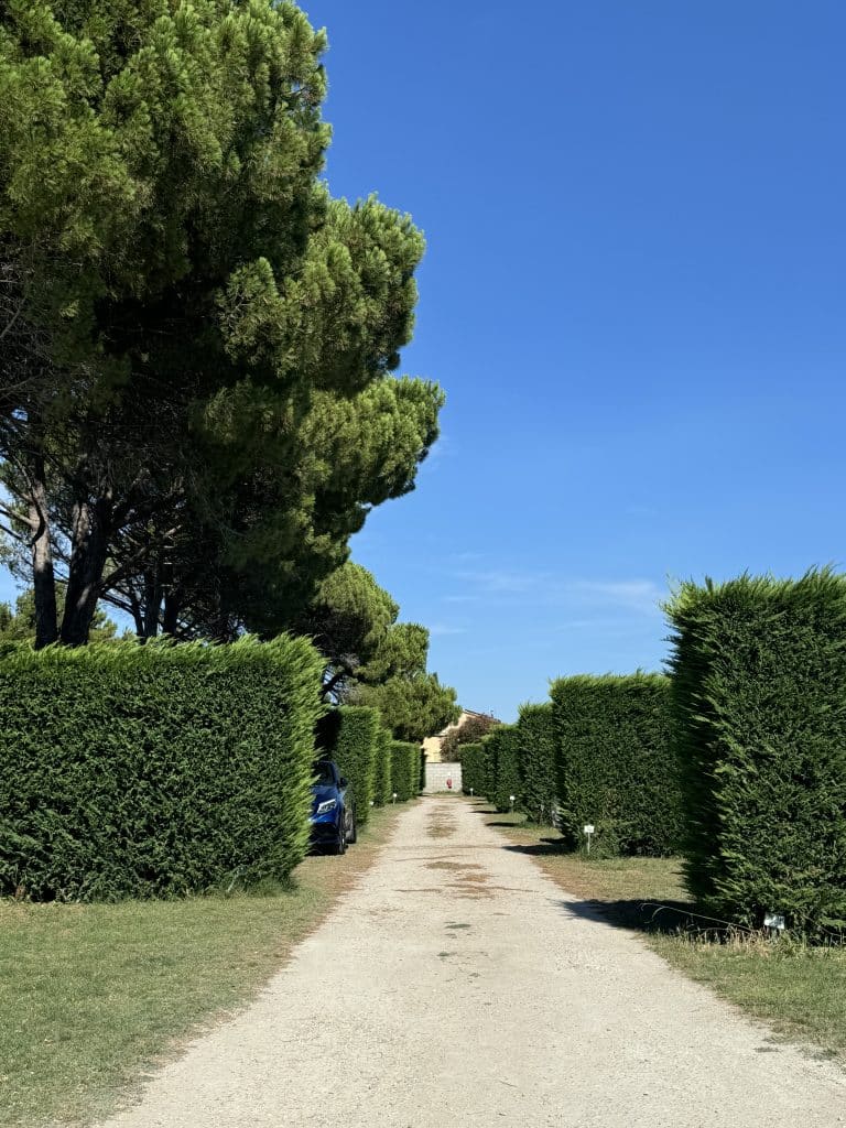 Emplacements de camping Caderousse - Camping le Lavandin