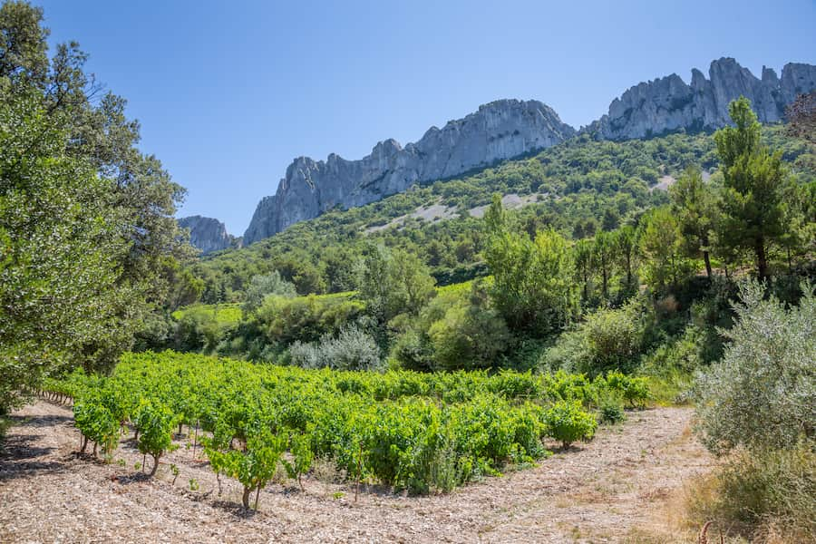 Massif des Dentelles de Montmirail proche d'Orange - Camping le Lavandin