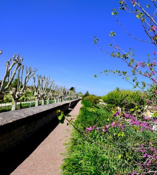 Digue Caderousse - Camping du Lavandin