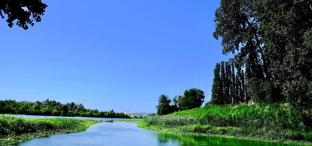 Lac Caderousse dans le Vaucluse - Camping du Lavandin