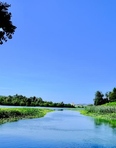 Lac Caderousse proche camping du Lavandin